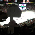 Flat Isabella at the 'Canes game